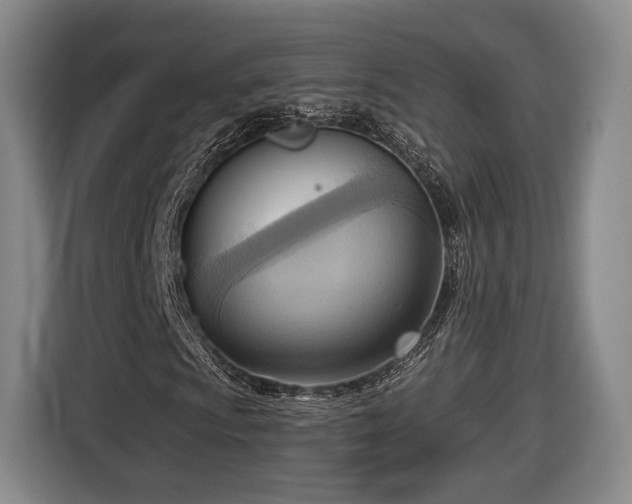 X0000116651009200912211443