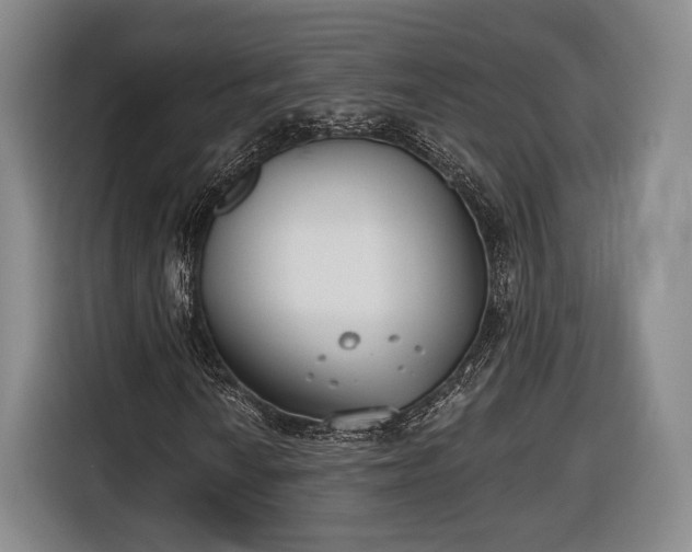 X0000116651010200912211443