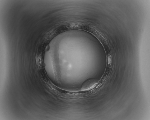 X0000116651011200912211443