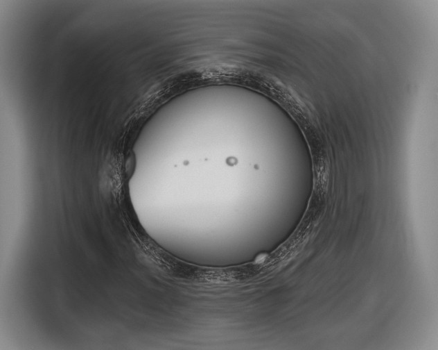 X0000116651012200912211443