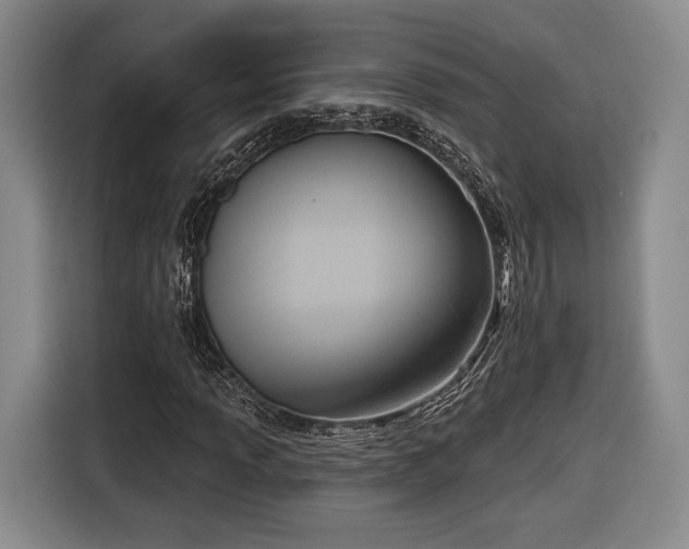 X0000116651013200912211443