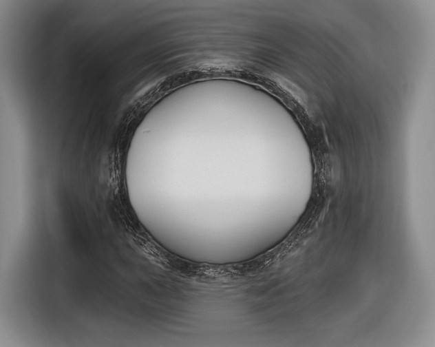 X0000116651015200912211443