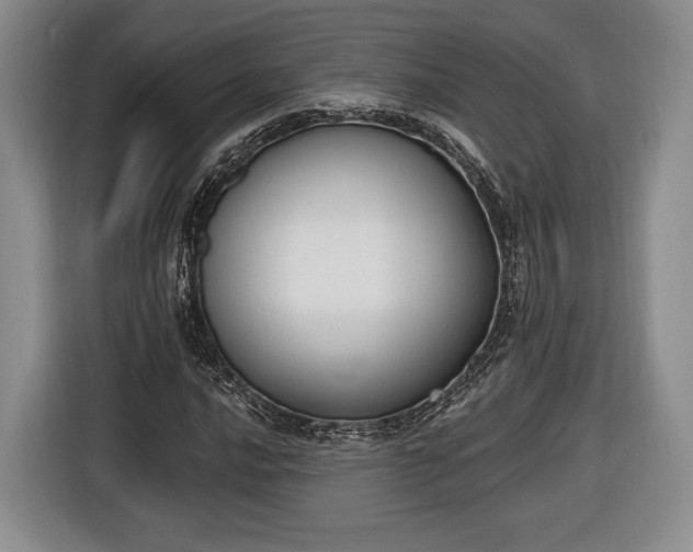 X0000116651016200912211443