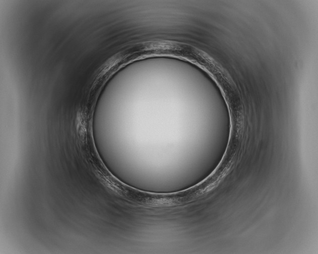 X0000116651017200912211443