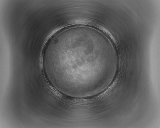 X0000116651019200912211443