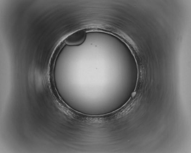 X0000116651020200912211443