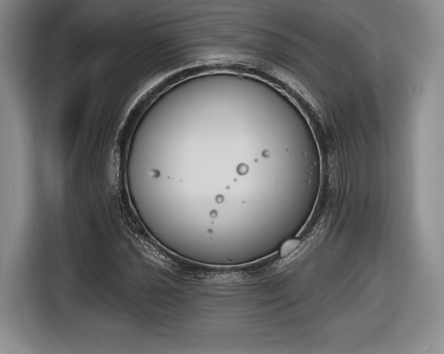 X0000116651021200912211443