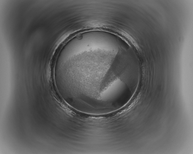 X0000116651023200912211443