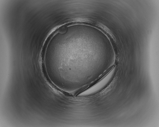 X0000116651024200912211443