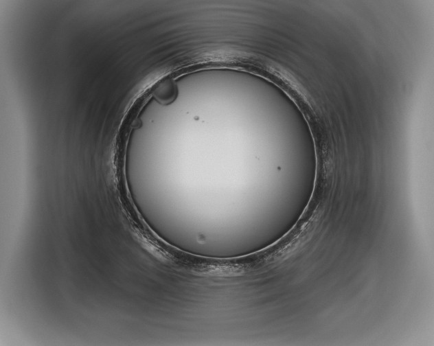 X0000116651026200912211443