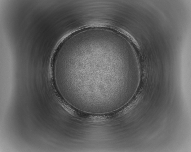 X0000116651027200912211443