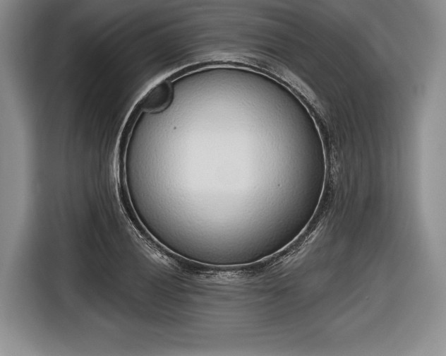X0000116651028200912211443