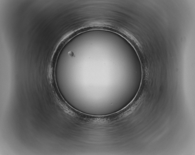X0000116651029200912211443