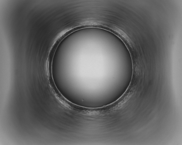 X0000116651030200912211443
