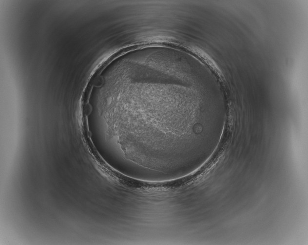 X0000116651031200912211443