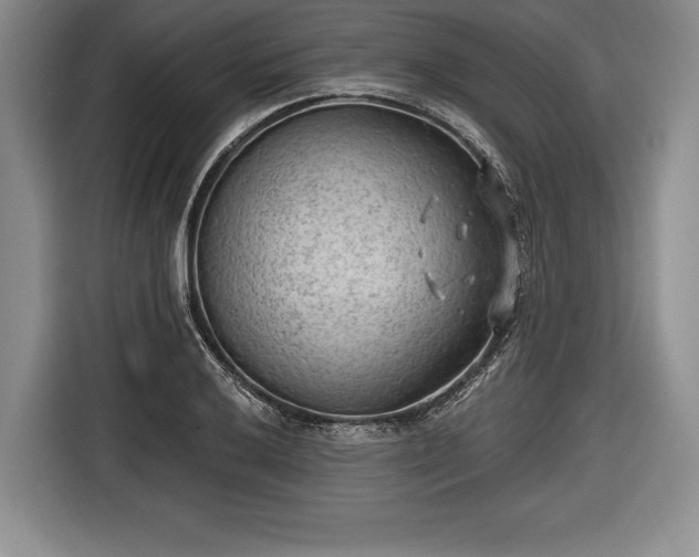 X0000116651032200912211443