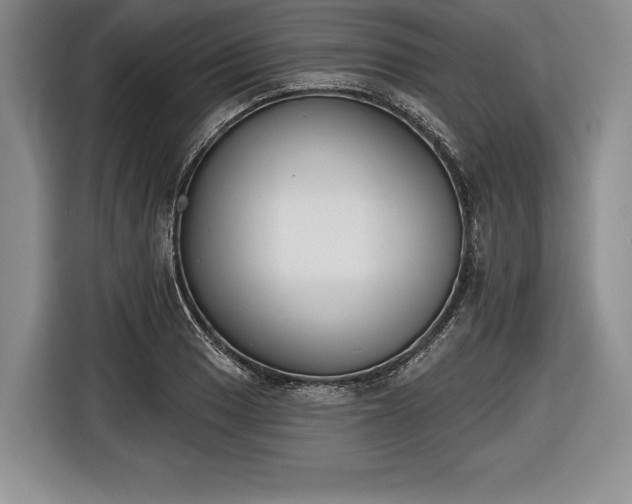 X0000116651033200912211443