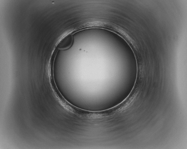 X0000116651034200912211443