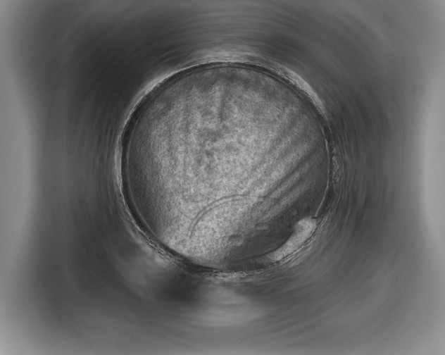 X0000116651035200912211443