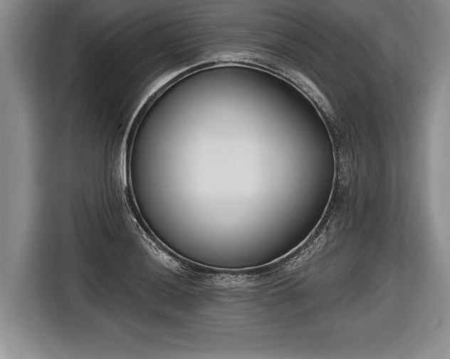 X0000116651036200912211443