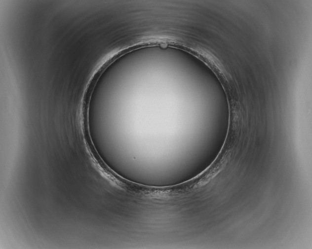 X0000116651038200912211443