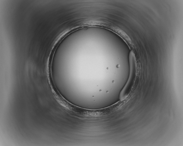X0000116651039200912211443