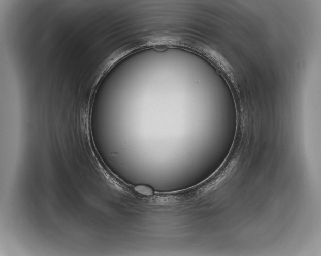 X0000116651041200912211443