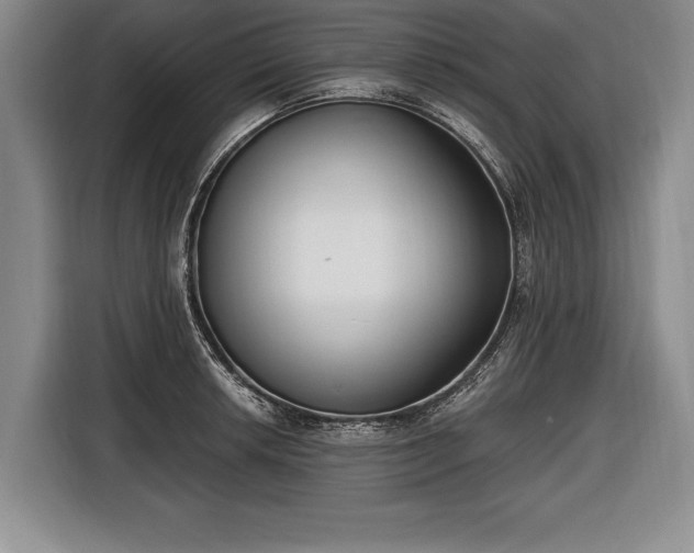 X0000116651042200912211443