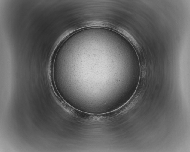 X0000116651043200912211443
