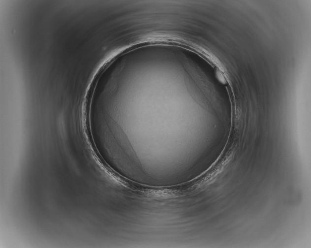 X0000116651045200912211443