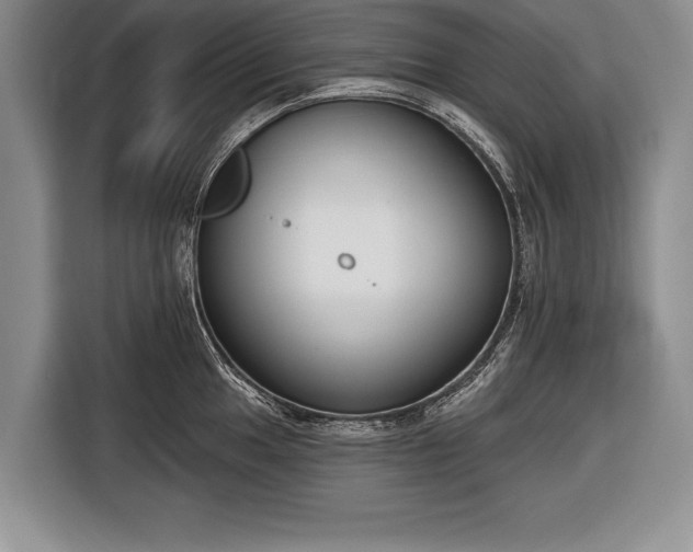 X0000116651049200912211443