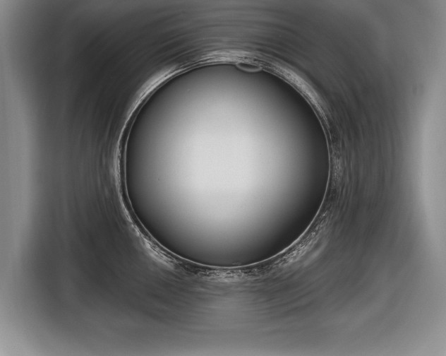 X0000116651050200912211443
