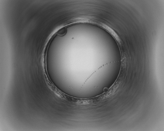X0000116651051200912211443
