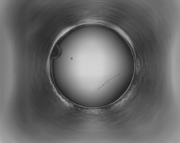 X0000116651053200912211443
