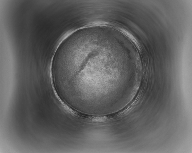 X0000116651055200912211443