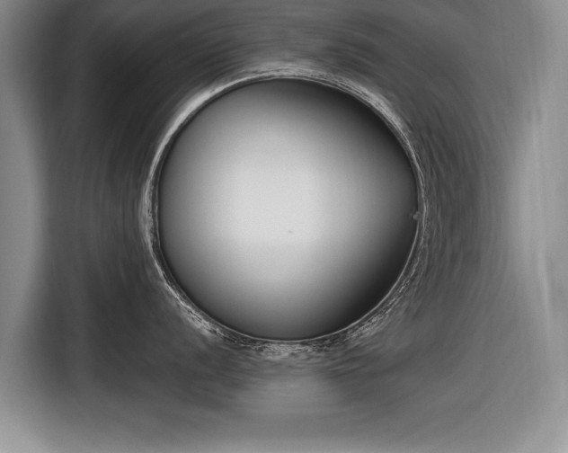 X0000116651056200912211443