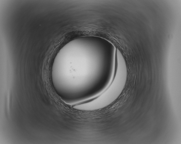 X0000116651057200912211443