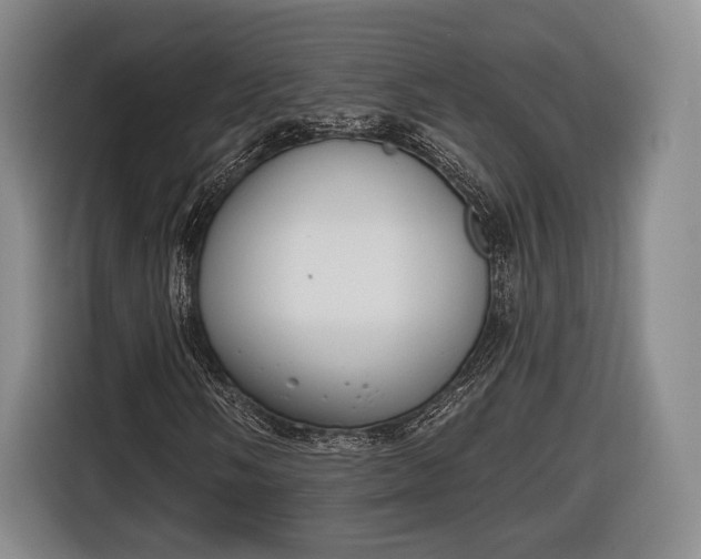 X0000116651058200912211443