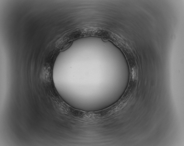 X0000116651059200912211443