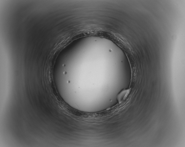 X0000116651060200912211443