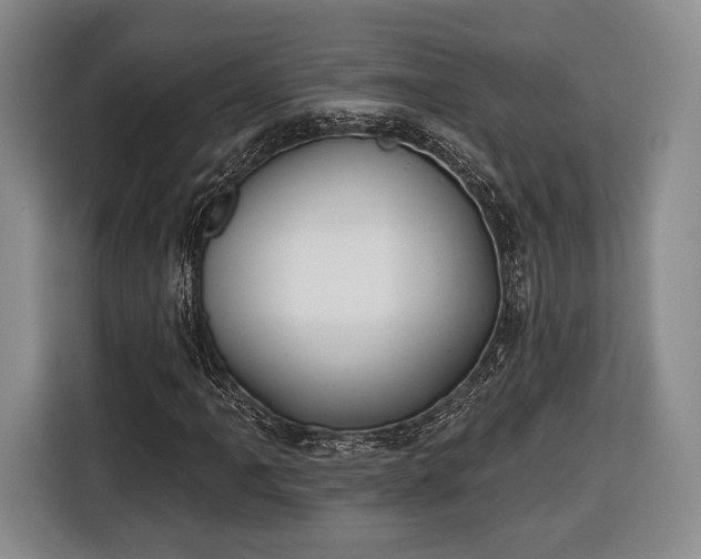 X0000116651061200912211443