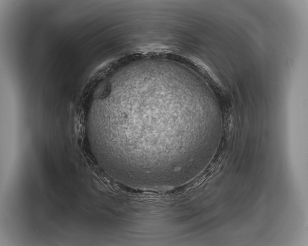X0000116651063200912211443