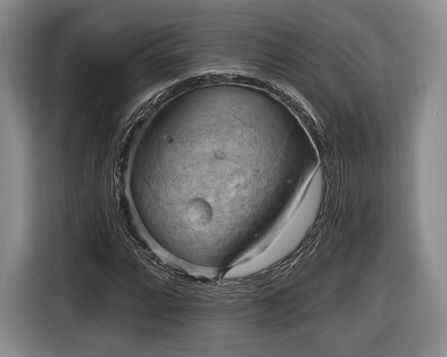 X0000116651064200912211443