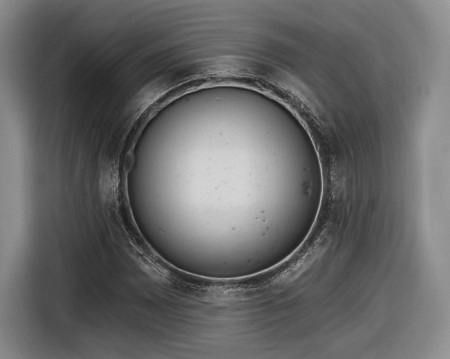 X0000116651065200912211443