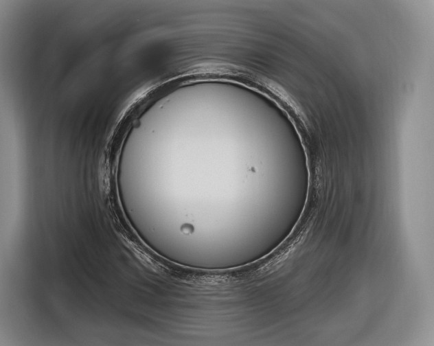 X0000116651067200912211442