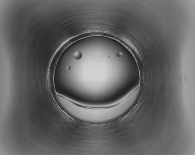 X0000116651068200912211442
