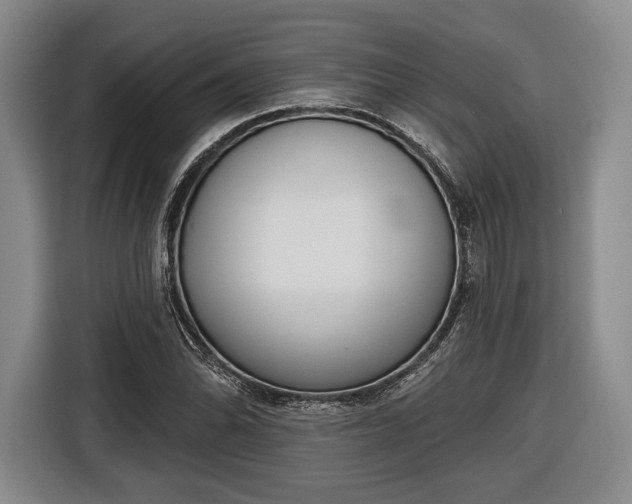 X0000116651070200912211442
