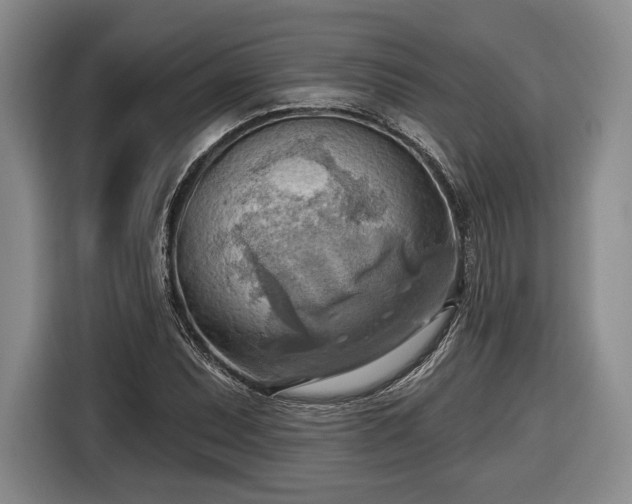 X0000116651071200912211442