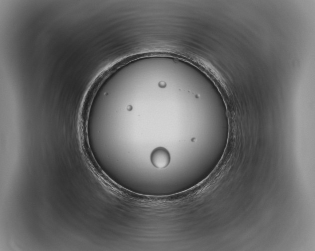 X0000116651072200912211442