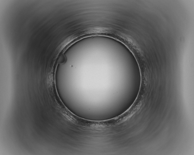 X0000116651073200912211442